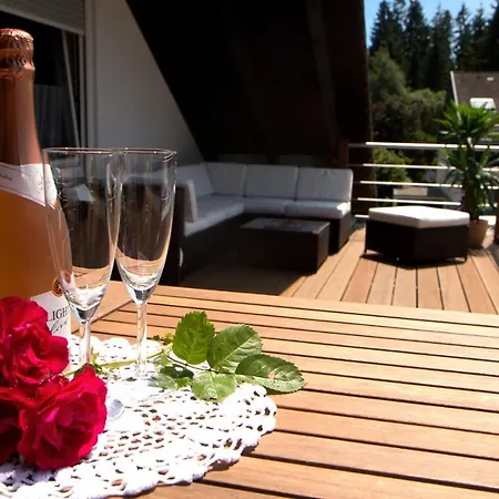 Kuckuckshaeusle 公寓